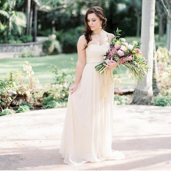 🆕️JCREW Ivory Champagne Silk Chiffon Formal Wedding Gown Bridesmaid Dress 20 - Picture 4 of 12